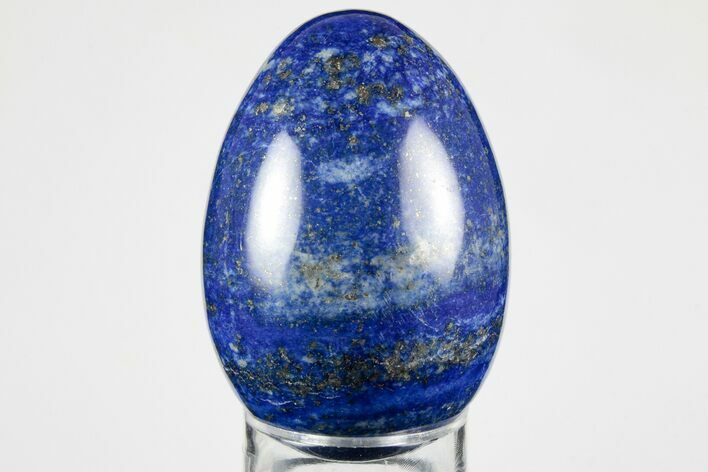 Polished Lapis Lazuli Egg - Pakistan #194510